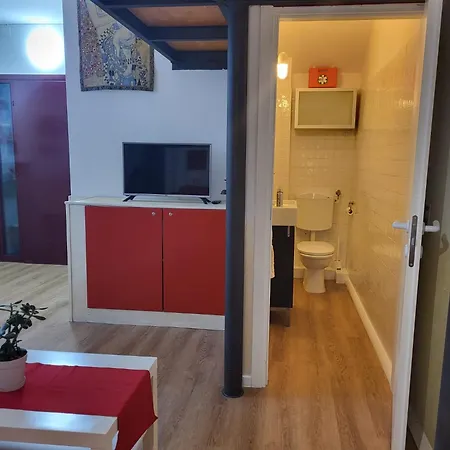 Loft Borgo 13 דירה *