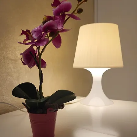 Loft Borgo 13 *